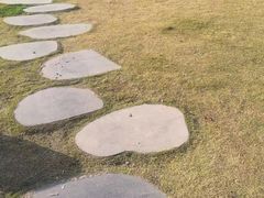 -府河摄影公园