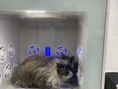 -熊小胖宠物生活馆(天华园店)