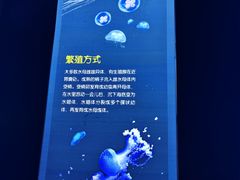 -龍歌自助小火锅(市南金茂湾店)