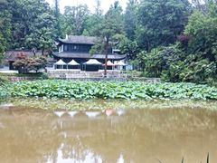 -南湾湖