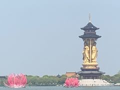 -溱湖国家湿地公园