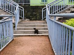 -石井坡(地铁站)