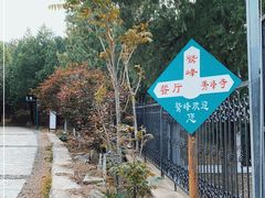 -北京鹫峰国家森林公园