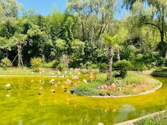 -杭州野生动物世界