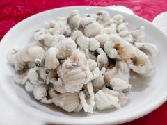-羚羊峡古栈道森林公园