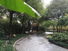 -江湾公园