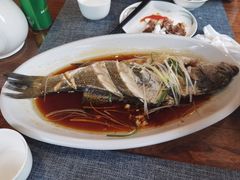 -老山东·山东菜(鲁菜名店)