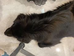 -乐咖啡西餐厅(太湖皇冠假日酒店)