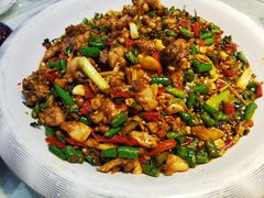 -新概念来凤鱼(璧山店)
