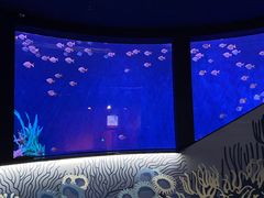 -沈阳海洋探索中心