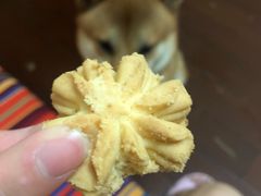 -香港珍妮曲奇聪明小熊饼干(迪美购物中心店)