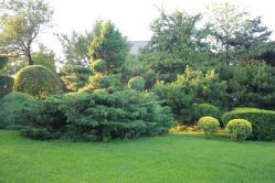 -皇家月府月子中心(沈阳店)