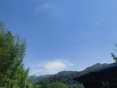 -芦茨金富饭庄·25年老字号·专做稻草鸡