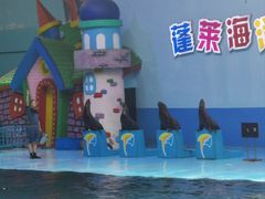 -蓬莱欧乐堡海洋极地世界