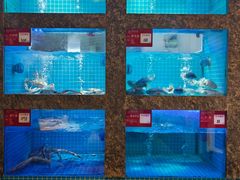 -潮州府·潮菜·砂锅粥(徐家汇店)