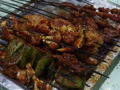 -尕胡才炕锅烤羊肉馆(八一路店)
