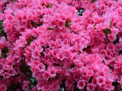 -杭州六谷生态休闲农庄有限公司