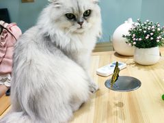 -傣妹火锅(罗宾森购物中心店)