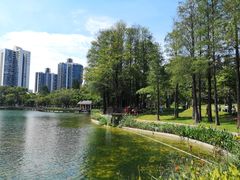 -四海公园(南山区)