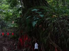 -飞霞风景名胜区