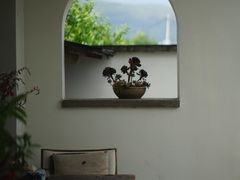 -翠田Green Field Kitchen