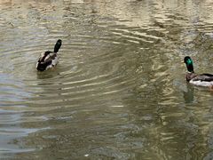 -新疆天山野生动物园