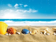 -华府九号海鲜烧烤大排档(龙域店)