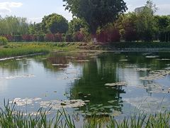 -永定河休闲森林公园