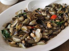 -陈鹏鹏潮汕菜(欢乐海岸 海边景观店)