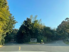 -天目湖涵田半山温泉