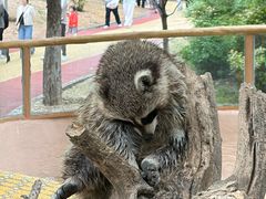 -济南野生动物世界
