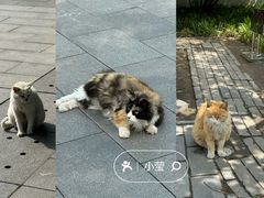 -北京鲁迅博物馆(北京新文化运动纪念馆鲁博馆区)