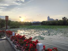 -长春市南湖公园