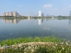 -金银湖国家城市湿地公园