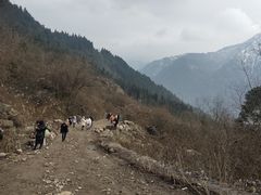 -九峰山