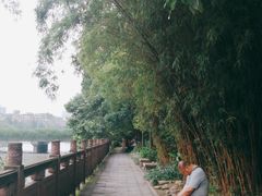 -成都市活水公园