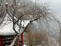 -秦岭终南山世界地质公园翠华山景区