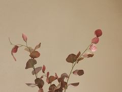-泰合玺·精油疗愈SPA(南京光环花园城店)