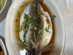 -小六农家乐(崇明西沙湿地店)