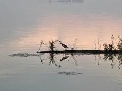 -金银湖国家城市湿地公园