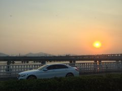 -宝旺姜母鸭(顶澳仔猫街店)