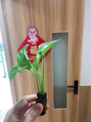 -丝客富脱发养发头皮馆