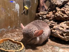 -蓬莱欧乐堡海洋极地世界