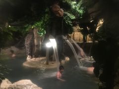 -中铁花水湾四季温泉谷