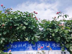 -武汉紫薇都市田园