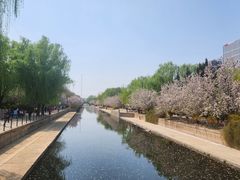 -元大都城垣遗址公园