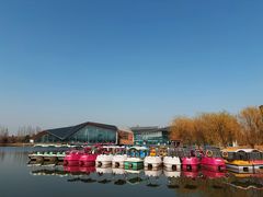 -上海长兴岛郊野公园