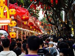 -越秀西湖花市(广州城市广场花卉店)