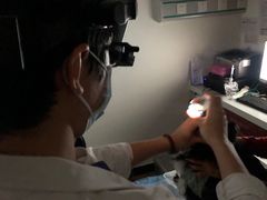 -美联众合动物医院·24h转诊中心