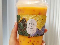 -野萃山·潮汕厚果汁(十亩地店)